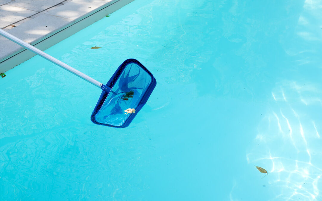 Seasonal Maintenance Tips for Your Swimming Pool